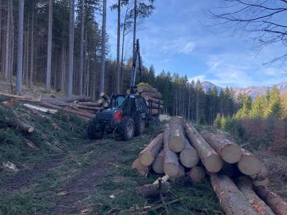 Bild 2:Holzschlägerung und Bringung