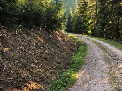 Bild 3:Böschungspflege und Böschungssanierungen