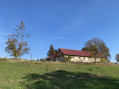 8 ha Wiesen/Weide zu verpachten - Lassnitzthal / Gleisdorf