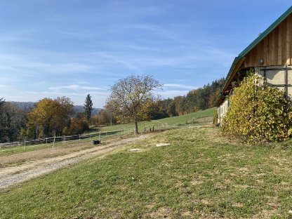 Bild 2:8 ha Wiesen/Weide zu verpachten - Lassnitzthal / Gleisdorf