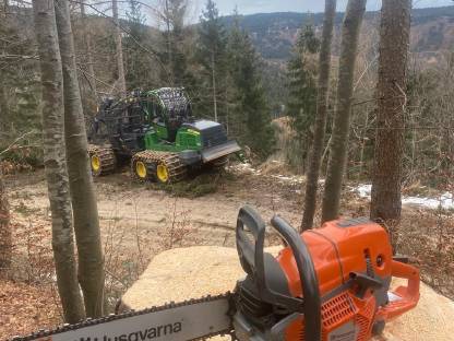 Bild 2:Forstdienstleistung