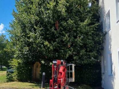 Bild 2:Baumarbeiten aller Art!