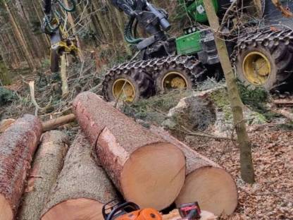 Bild 5:Baumarbeiten aller Art!