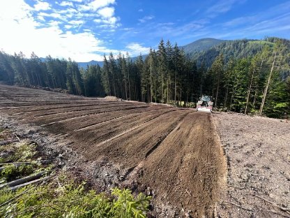 Bild 4:Fräs- und Rekultivierungsarbeiten