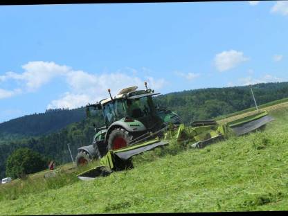 Bild 2:Biete Mäharbeiten