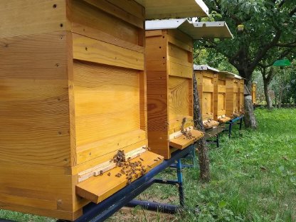 Bienenvölker Verkauf