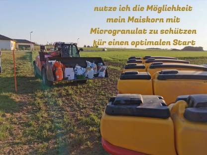 Bild 3:Lohnaussaat Einzelkorn