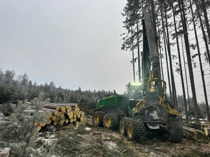 Bild 2:Holzschlägerung und -bringung