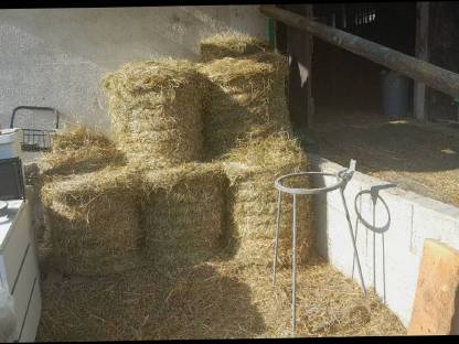 Bild 3:HEU Most Säfte Edelbrände