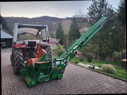 Bild 2:Lohnsägen, Brennholzsägen