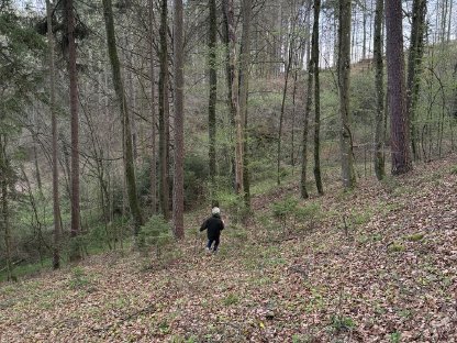 Suche Wald, Grünland, Acker in 8444