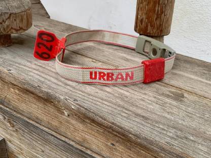 Urban Halsbänder