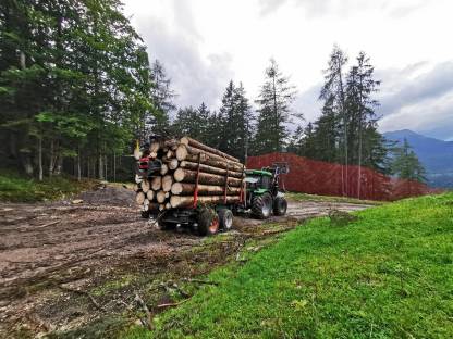 Bild 3:Holzschlägerungen, Baggerarbeiten