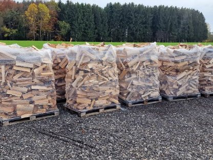 Bild 6:Förderbandsäge - Proline