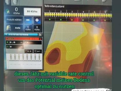 Bild 4:Lohnaussaat Einzelkorn