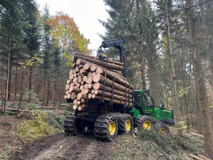 Bild 7:Holzschlägerung und -bringung