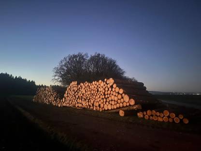 Bild 9:Holzschlägerung und -bringung