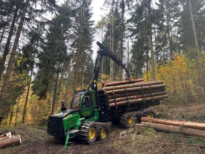 Bild 6:Holzschlägerung und -bringung