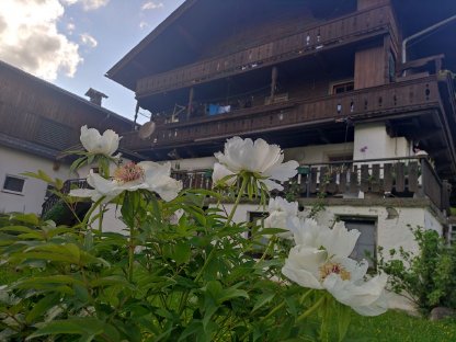 Bild 6:Praktikant Sommer 2026 - für Anfang Mai bis Ende Juni