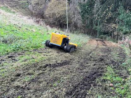 Bild 3:Mäh-Mulchdienstleistungen Mulchen Weide - Wiese - Steilhang