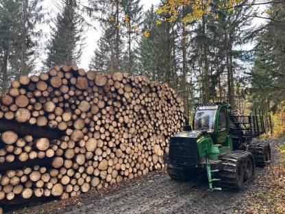 Bild 8:Holzschlägerung und -bringung