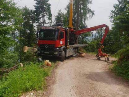 Bild 3:Holzschlägerung mit Mounty 4000 Bergauf/ab
