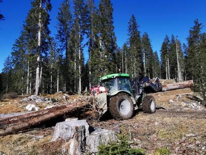 Bild 2:Holzschlägerungen, Baggerarbeiten