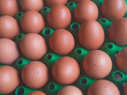 Bild 5:HEU Most Säfte Edelbrände