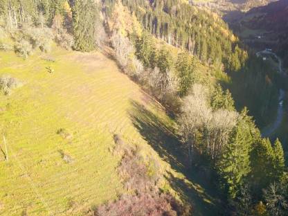 Bild 4:Mäh-Mulchdienstleistungen Mulchen Weide - Wiese - Steilhang