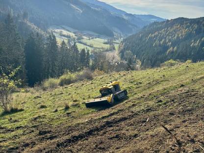 Bild 2:Mäh-Mulchdienstleistungen Mulchen Weide - Wiese - Steilhang