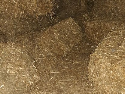 Bild 2:Stroh, Quaderballen, klein