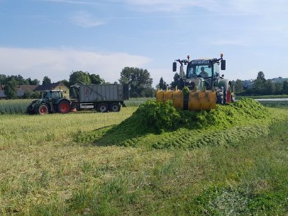 Bild 8:Grünlandernte