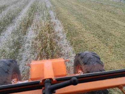 Bild 2:Mulcher mieten, Dienstleistung Mulchen