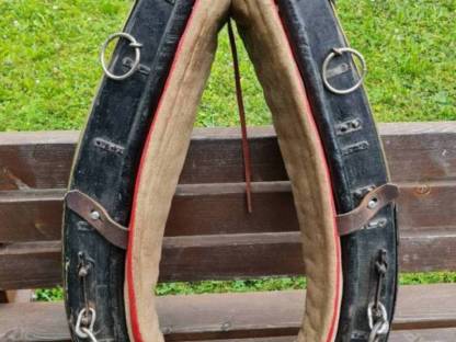 Haflinger Kummtgeschirr