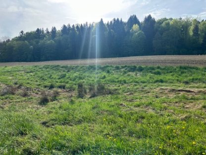 Bild 2:Acker und Wald
