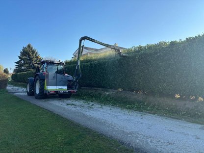 Bild 2:Lichtprofil- und Heckenschnitt