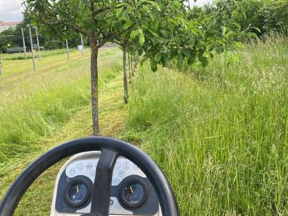 Bild 2:Grünflächenpflege Grünraumpflege Mäharbeiten