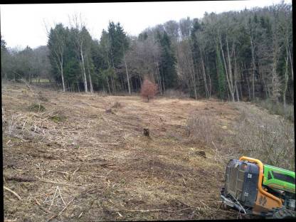 Bild 2:Forstmulchen