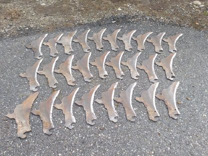 Bild 5:Pöttinger Ernte-Profi II S