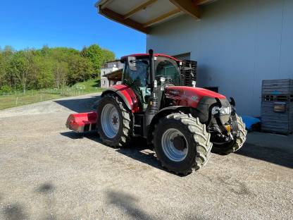 Bild 3:Mulch- und Schlägelarbeiten