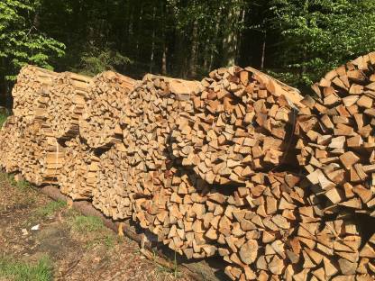 Bild 2:Buchen oder Eschen Scheitholz