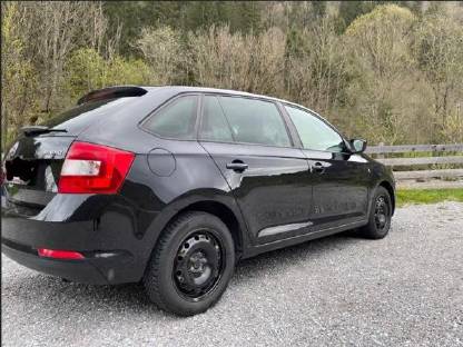 Bild 5:Skoda Rapid Spaceback TSI Green tec