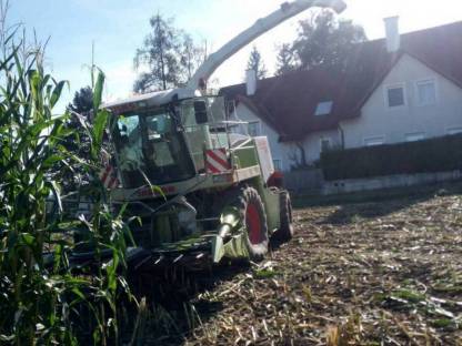 Bild 2:Maisernte, Grasernte
