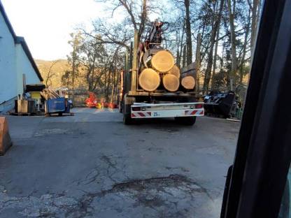 Bild 8:Erdbewegung und Holzschlägerung