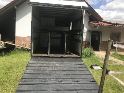 Bild 2:Pferdetransporter Iveco 3,5 t Mautfrei Sonder-KFZ