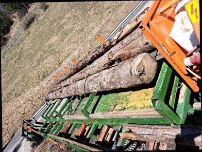 Bild 2:Biete Lohnspalten an