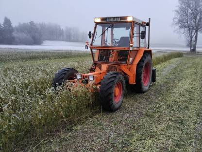Bild 3:Mulcher mieten, Dienstleistung Mulchen
