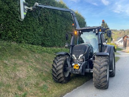 Bild 3:Lichtprofil- und Heckenschnitt