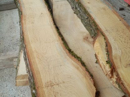 Bild 2:Eichenpfosten