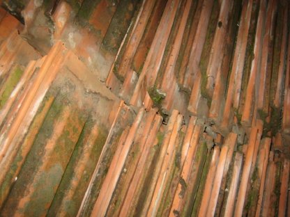 Bild 2:Dachziegel, Falzdachziegel